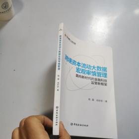 跨境资本流动大数据宏观审慎管理：面向新时代的金融科技监管新框架（全新塑封）