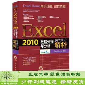 Excel 2010数据处理与分析实战技巧精粹