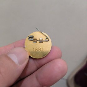 徽章第2回近代青年洋上大学日中友好
