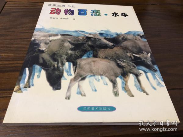 动物摄影图片资料书籍 水牛篇 画家 摄影家美术创作资料用书