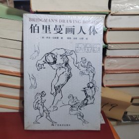 伯里曼画人体