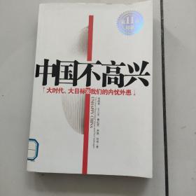 中国不高兴：大时代大目标及我们的内忧外患