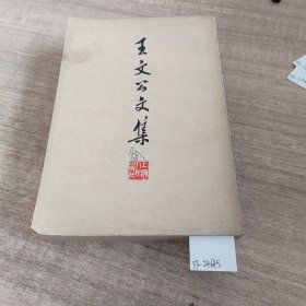 《王文公文集》。下