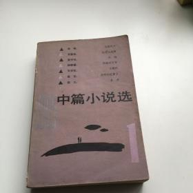 1985中篇小说选 1