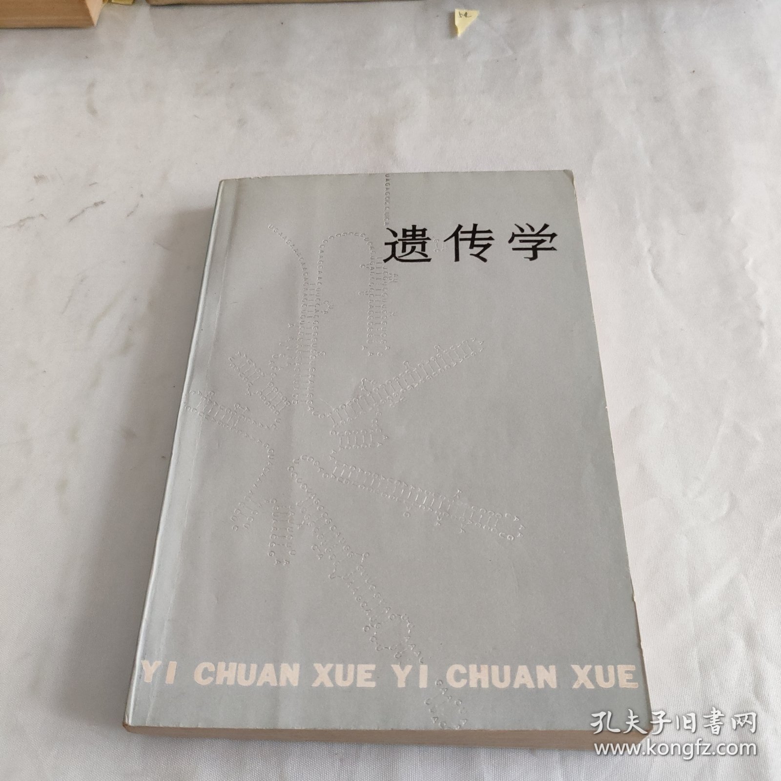 遗传学