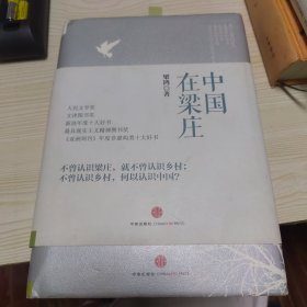 中国在梁庄