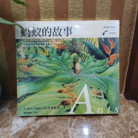 蚂蚁的故事