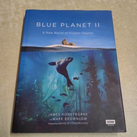 Blue Planet II