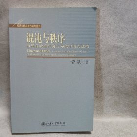 混沌与秩序：市场化政府经济行为的中国式建构