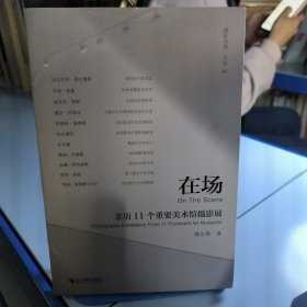 在场(亲历11个重要美术馆摄影展)/摄影丛谈书系