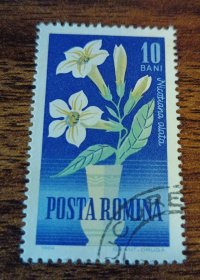 罗马尼亚邮票花卉旧1枚 外国邮票（零售区邮品满十件包邮）