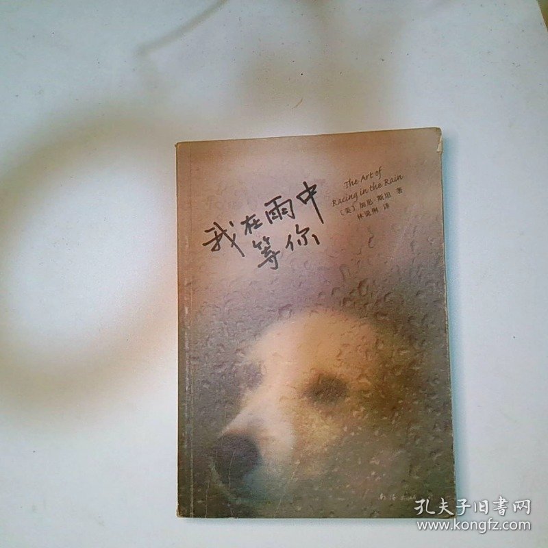 我在雨中等你