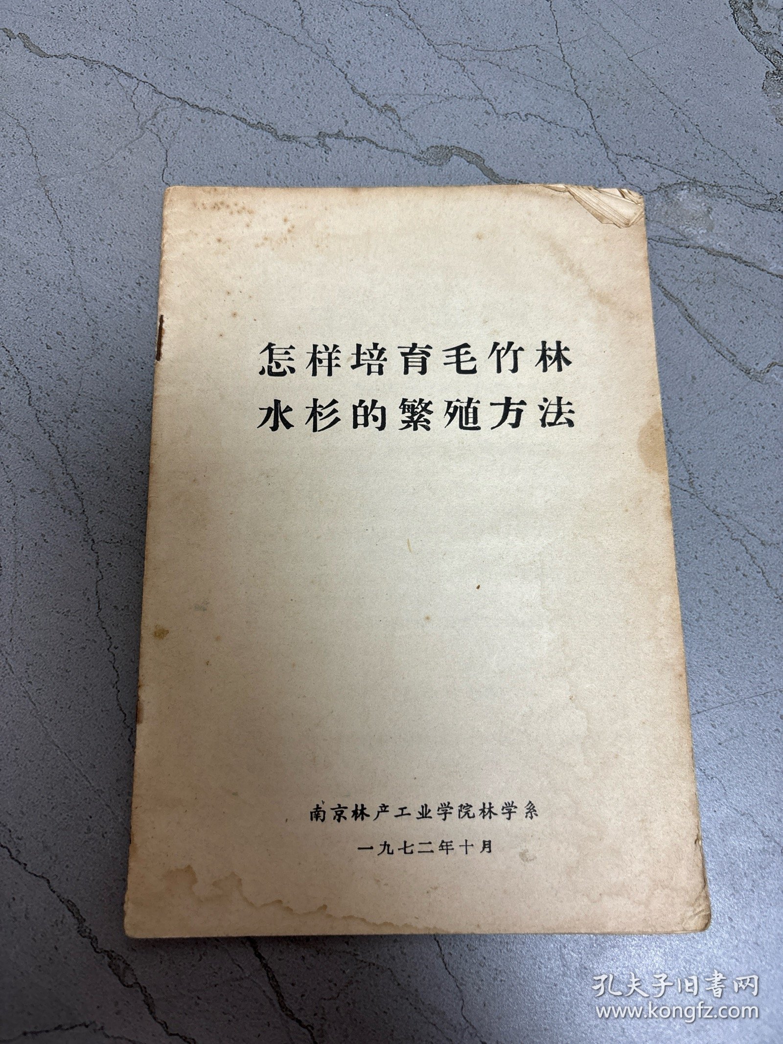 怎样培育毛竹林水杉的繁殖方法