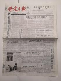 2007年4月27日《保定日报》（中央赠港大熊猫顺利抵港）