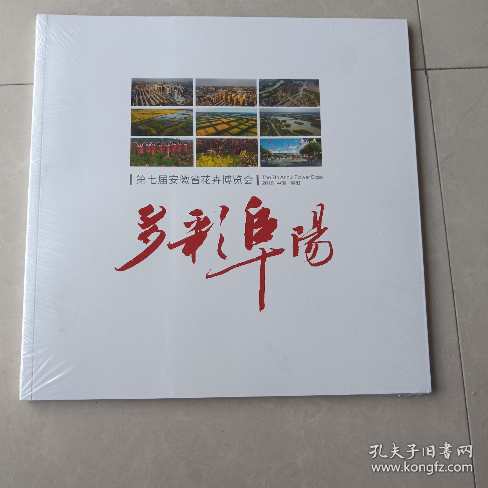 多彩阜阳 第七届安徽省花卉博览会2016