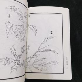 芥子园画传（第5册）