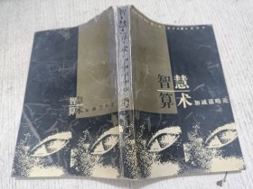 智慧算术——加减谋略论