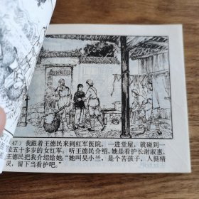 精品连环画：《朝阳花》