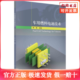 车用燃料电池技术