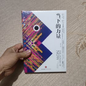 当下的力量（精装全新未拆封）