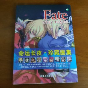 Fate Stay night 命运长夜·珍藏画集