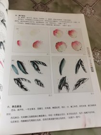 中国画学谱·花鸟卷：蔬果