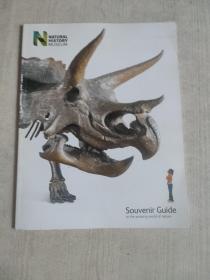 souvenir guide