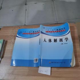 人體解剖學(xué)
