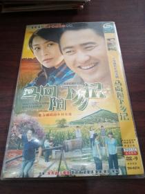 马向阳下乡记 2DVD