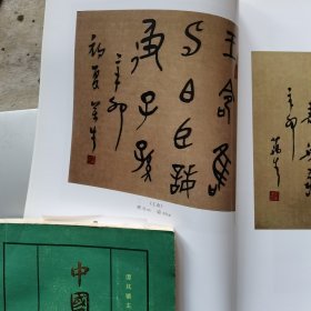 逸兴集