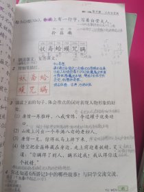 义务教育课程标准实验教科书：语文1-6年级全12册、数学1-6年级全12册（共24本）