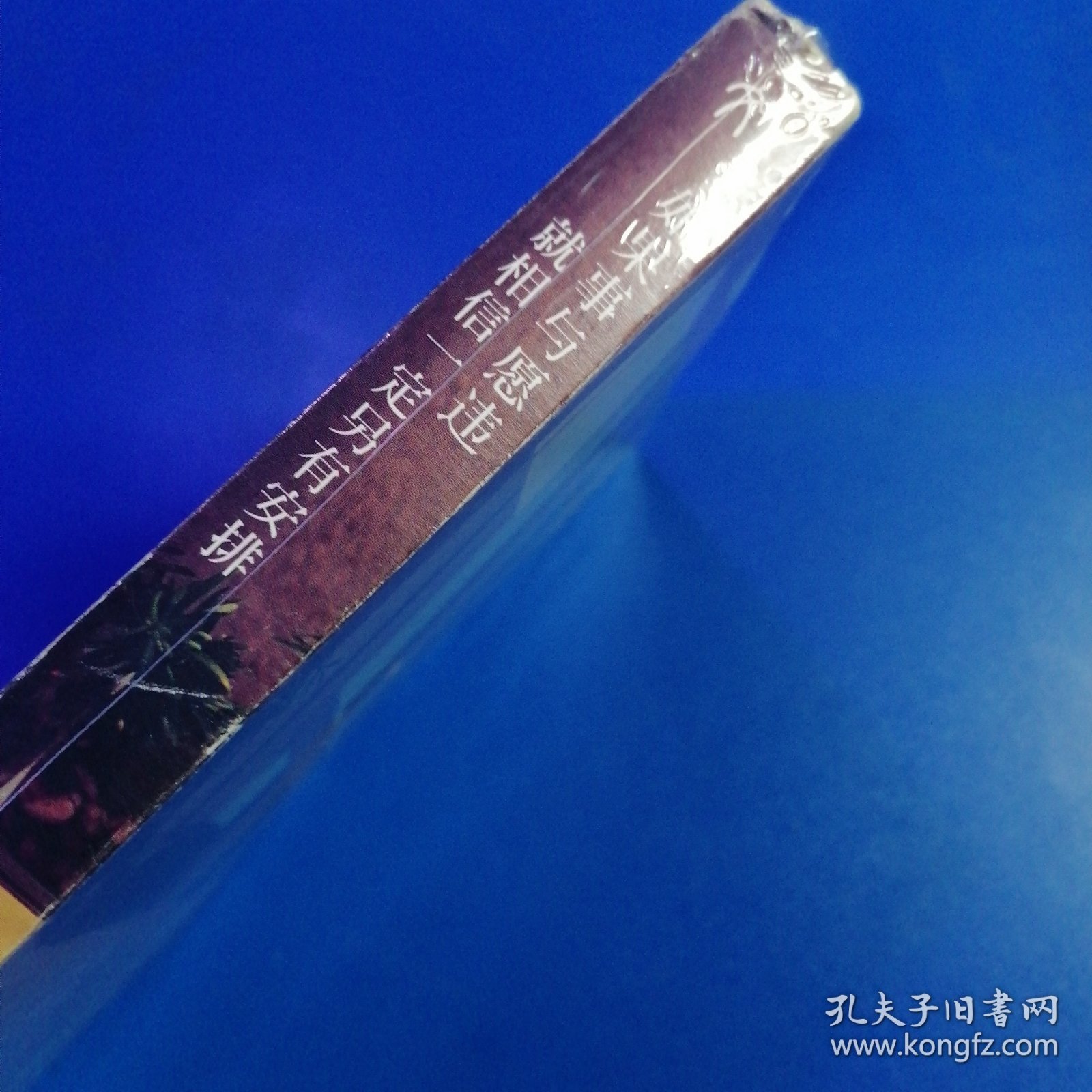 如果事与愿违就相信一定另有安排