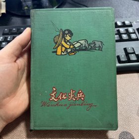 文化尖兵 老旧日记本笔记本 无插图 第一页不确定是否被撕掉 几乎写满 土质材质 箱13