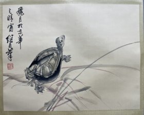 立轴 乌龟图