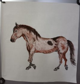 一匹马