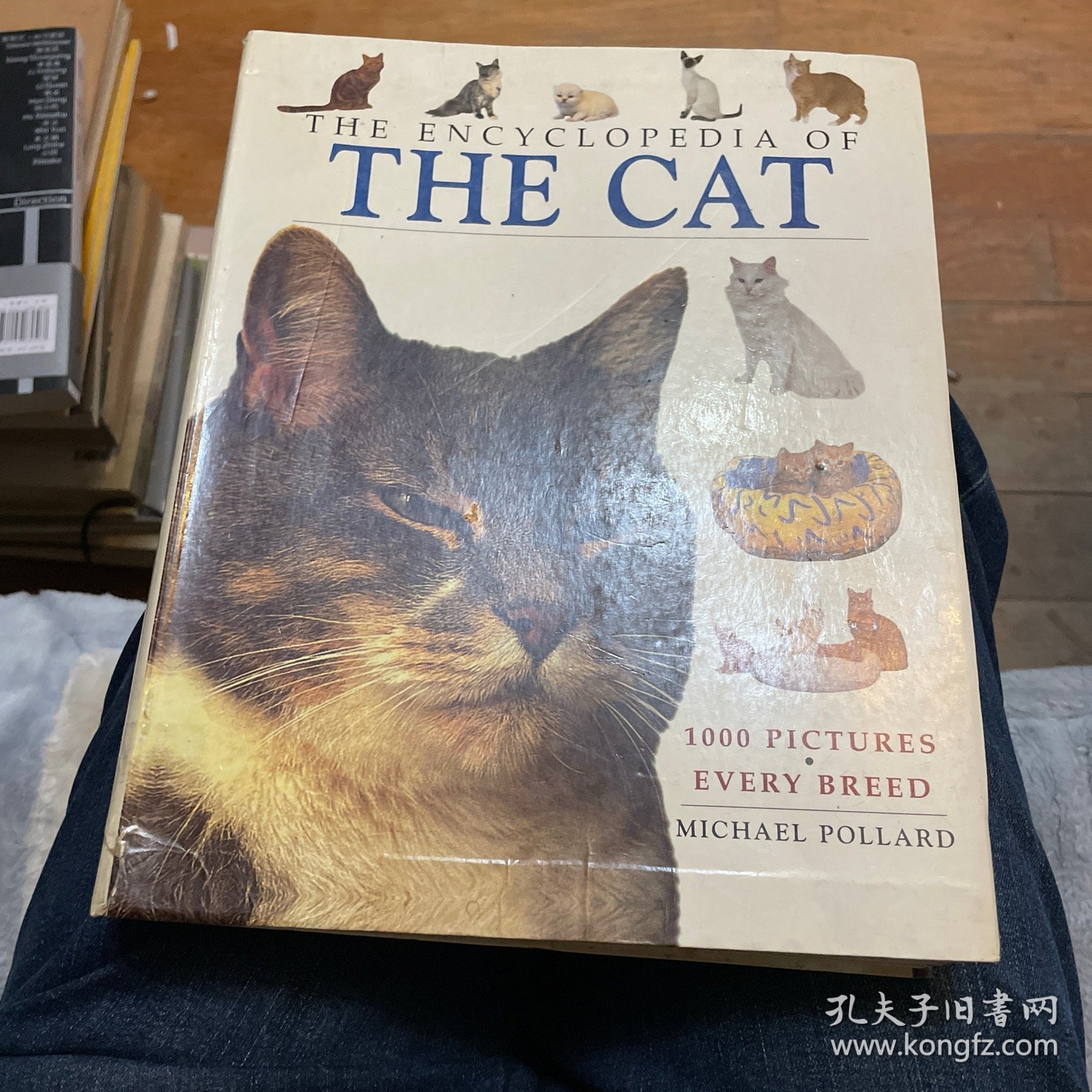 The Encyclopedia of the Cat
