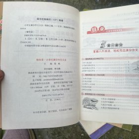 作文桥·精华录:小学生满分作文大全