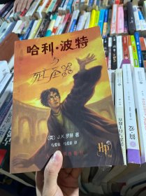 哈利·波特与死亡圣器