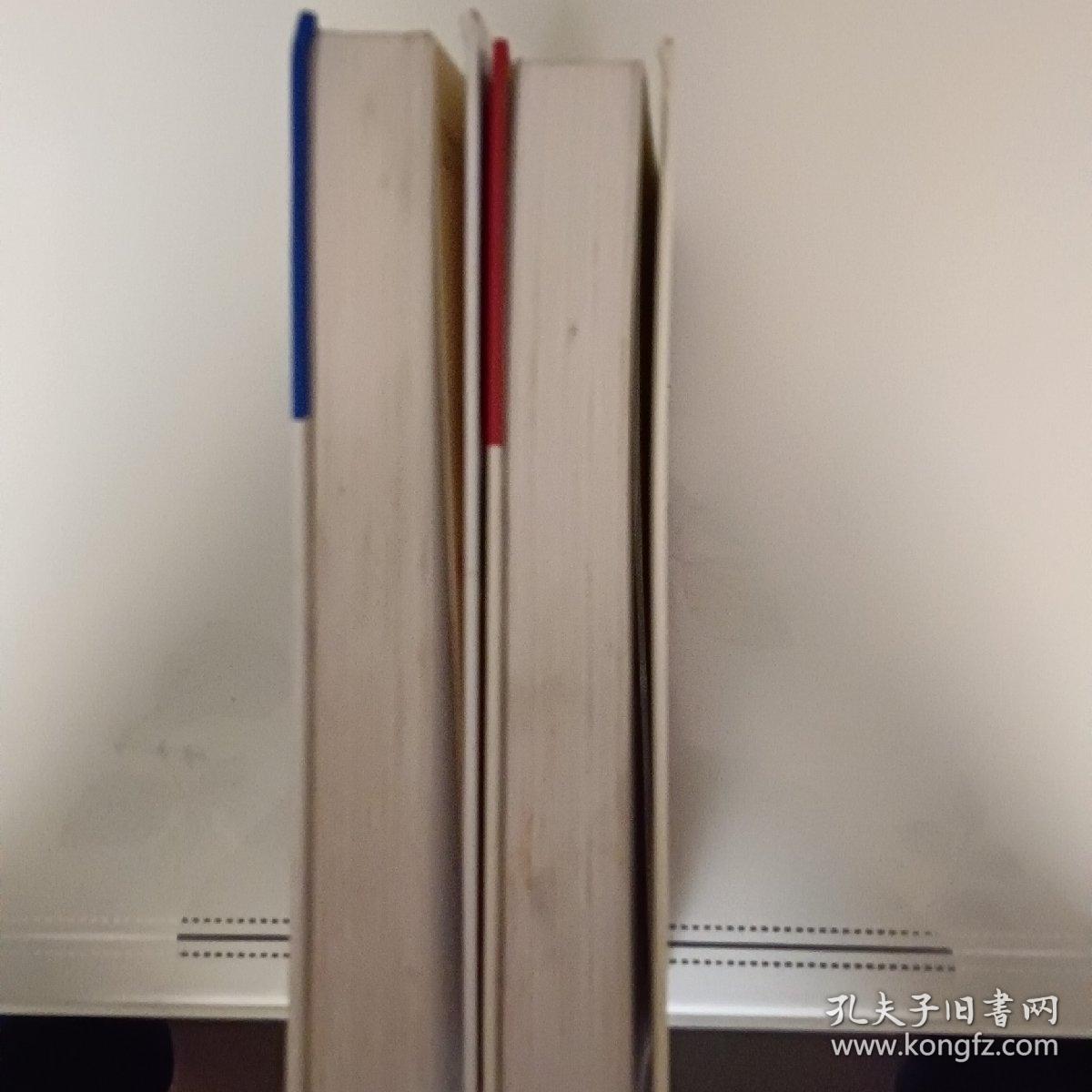 中国少年儿童百科全书：文化、艺术、人类、社会2册合售30元