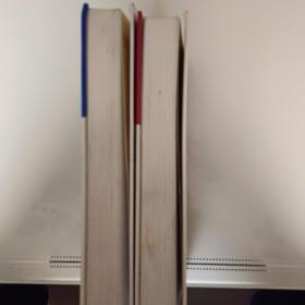 中国少年儿童百科全书：文化、艺术、人类、社会2册合售30元