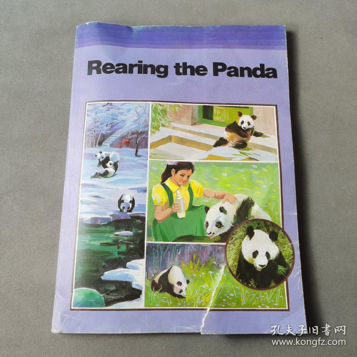 Rearing the Panda 大熊猫丛书5 饲养中的大熊猫（有磨损）