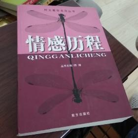 情感历程