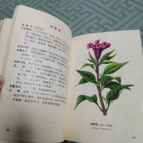 陕甘宁青中草药选（全一册软精装本）