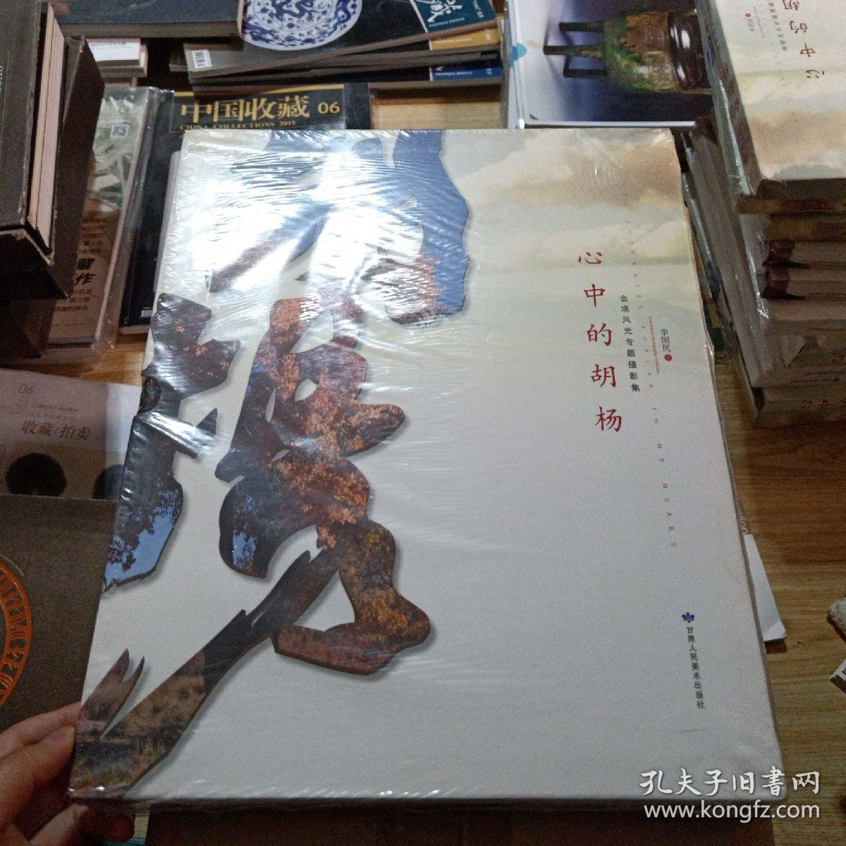 点击查看原图 心中的胡杨:金塔风光专题摄影集