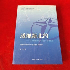 中国北约研究丛书·透视新北约：从军事联盟走向安全一政治联盟