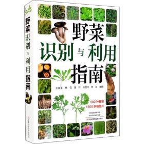 野菜识别与利用指南 农业科学 王亚[等]主编