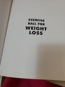 Exercise Ball For Weight Loss