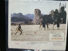 剧照~全套齐~沙漠情