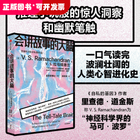 会讲故事的大脑