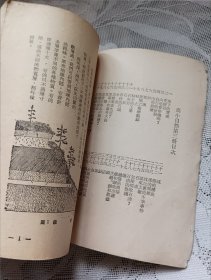 高级小学适用 自然